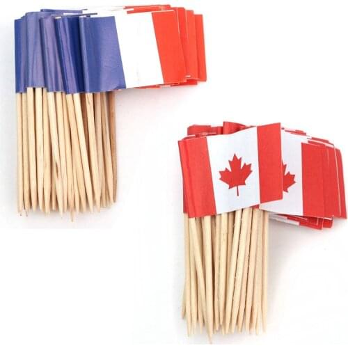 Lot of 50 Pcs Mini Wooden Toothpick with Flag for Decor of Party Fruit Pastry - France (Blue, White, Red)