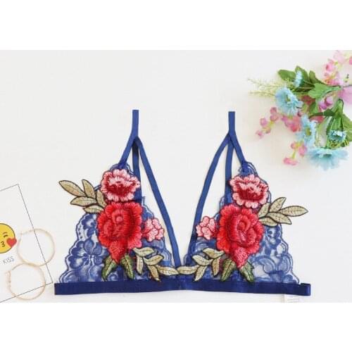 Mesh Exotic Apparel Bra Ultra Thin Seamless Transparent Lace Bras Blue Foral Embroidery Bra Wireless Sexy Lingerie Bralette Top