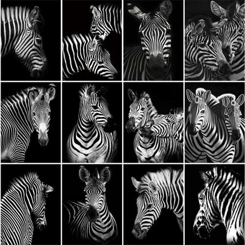 5D Diy Diamond Embroidery Zebra Black and White Animal Diamond Painting Full Square Round Drill Cross Stitch Mosaic Picture