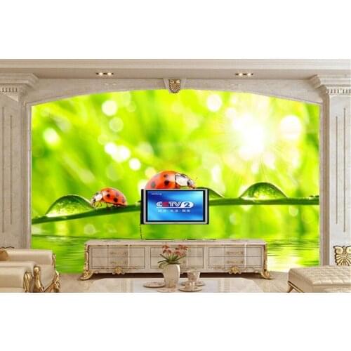 Custom murals,Ladybugs Closeup Water Drops Two Animals wallpapers,living room sofa TV wall bedroom 3D wallpaper papel de parede