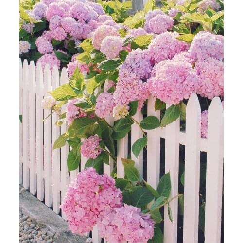 Garden white fence decoration folding wooden fence pet door terrace garden lawn decoration safety fence