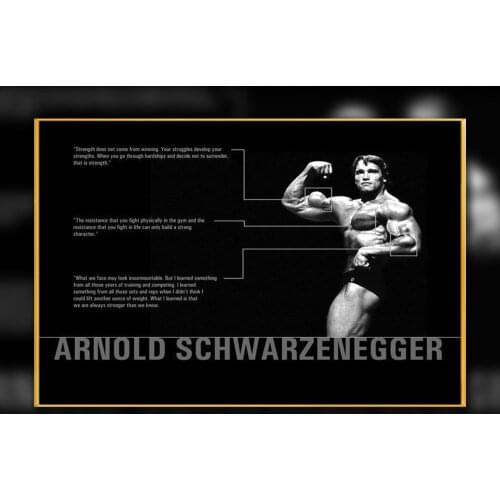 19 Custom Poster Silk Home Deco ARNOLD SCHWARZENEGGER Bodybuilding Motivational Gigantic Strong Wall Art Christmas Gift