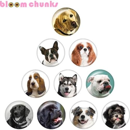 Dog 10pcs mixed 12mm/18mm/20mm/25mm Round photo glass cabochon demo flat back Making findings S1850