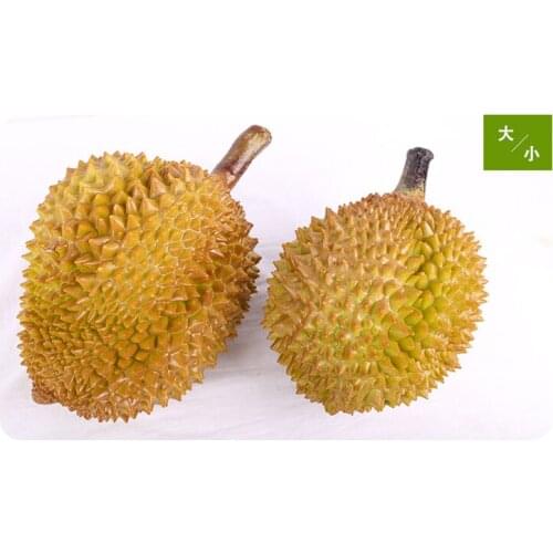 Simulation durian model fake fruit shop durian food food window supermarket decoration sample shooting prop early education