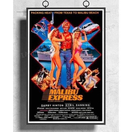 NJ808 Malibu Express (1985) Movie Wall Sticker Silk Poster Art Home Decoration