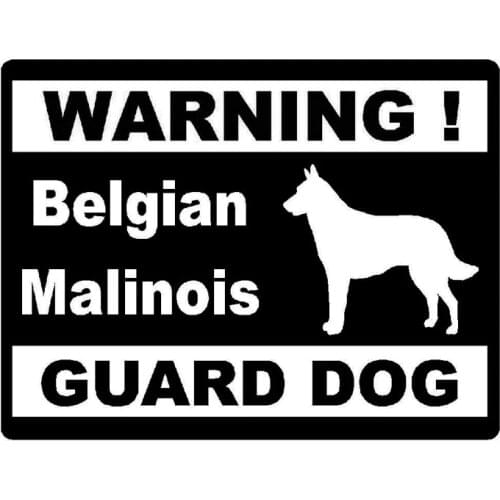 13.5cm*10.3c Car Styling Personality Warning Belgian Malinois Guard Dog Car Stickers C5-1900