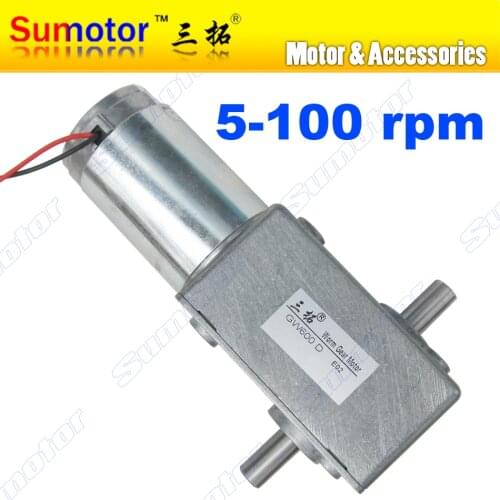GW600 DC 12V 24V Worm Gear Motor Electric engine Low rpm High torque double shaft Self-locking reversible for robot RC smart car