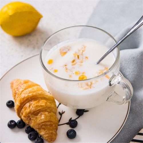 Big Glass Cup Heat-resistant Microwave Mug With Lid 470ml Cup Tea Coffee Milk Mug for Smoothie Breakfast Bowl Oat Corn Flakes