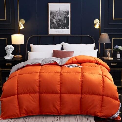 Time-limited Top Fashion 150x200cm/200x230cm Soft Goose Down Comforter Duvet Winter Blankets Feather Bed Quilt Blanket Quilted