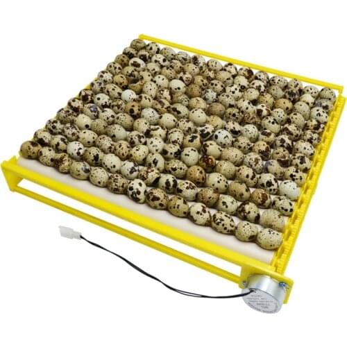 Automatic Rotary Egg Turner Roller Tray Duck Quail Bird Poultry Eggs Incubator