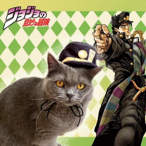 JoJo Bizarre Adventure Kujo Jotaro Pet Dog Cat Cosplay Costumes Hat