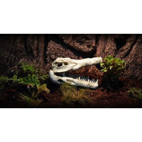 Exotic Environments Nile desert scenery rainforest, Crocodile Skull Aquarium Ornament, for reptile, tortoises or fish hiding