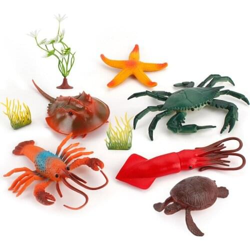Original Sea Life Animals Model King Crab Squid Shrimp Marine Ocean Animal Action Figures Miniature Toy Kids Gift