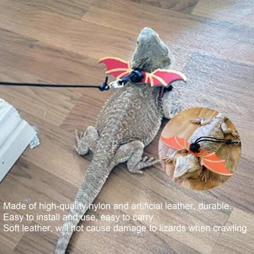 Wear-resistant Pet Supplies Bearded Dragon Harness Leash for Travel