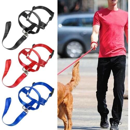 Training Puppy Head Collar Halter Pet Mouth Traction Set Dog Muzzle Leash Leader No Pull Strap S-XXL