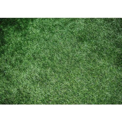Green Grassland Photo Backdrop Computer Printed Backgrounds for Portrait Children Baby Pets Toy Photobooth Photography Props
