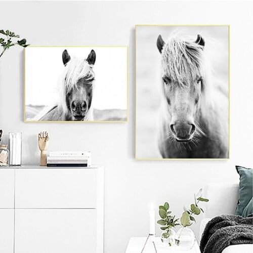 Black And White Horse Head Poster Art Painting , Animal Horses Wall Picture Modern Decor Photography Canvas Art Prints Home Room