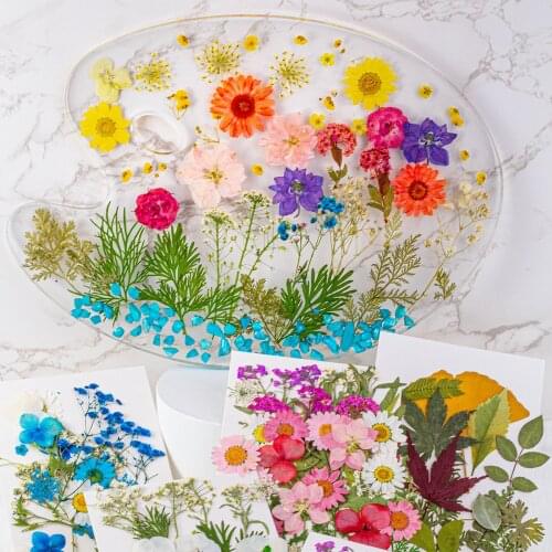 35 Pcs/bag Natural Real Dry Flower Plant for Candle Epoxy Resin Pendant Necklace Jewelry Making Craft Diy Filling Tools
