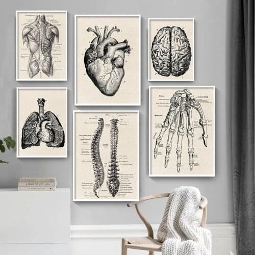 Retro Human Anatomy Poster Artwork Medical Wall Picture Musculoskeletal Canvas Print Painting Hospital Clinic Decoration