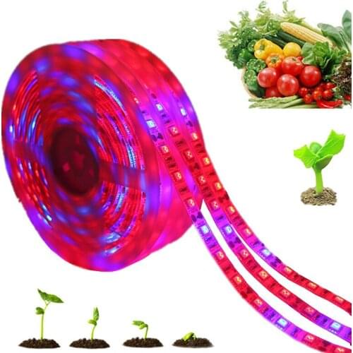 LED Grow Light Full Spectrum LED Strip Lights 0.5m 1m 2m 3m 5m 5050 Chip LED Phyto Lamps For Greenhouse Hydroponic Plant Growing