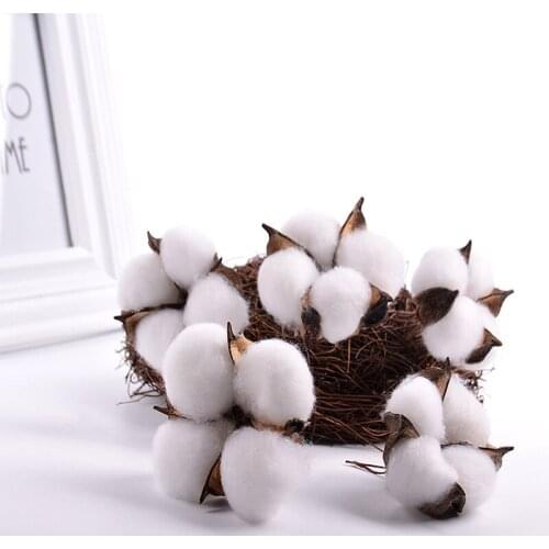 5/10PCS Natural Dried Flowers Kapok Cotton Artificial Flowers for Wedding Party Home Decorations DIY Craft Wreath Gift Scrapbook