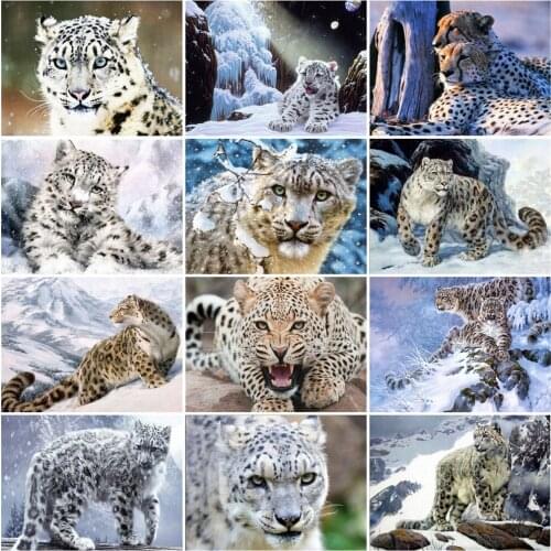 HUACAN DIY Picture By Numbers Leopard Animal HandPainted Wall Art Unique Gift Painting By Number Winter Decoration