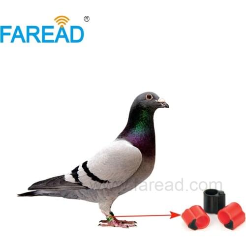 Free shipping x100pcs TK4100 chip Electronic 125Khz RFID Tag Bird Pigeon Ring For Chicken, duck,Tracking