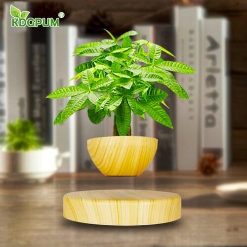 Modern And Simple Magnetic Levitation Vase Potted Plant Floating Aerial Flower Pot Nordic Home Decoration Bonsai Ornaments