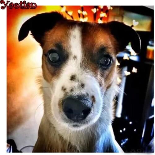 5D DIY PHOTO CUSTOM Diamond Painting Pet Dog Jack russel Full Round Diamond Embroidery Rhinestone Art Diamond Mosaic Animal