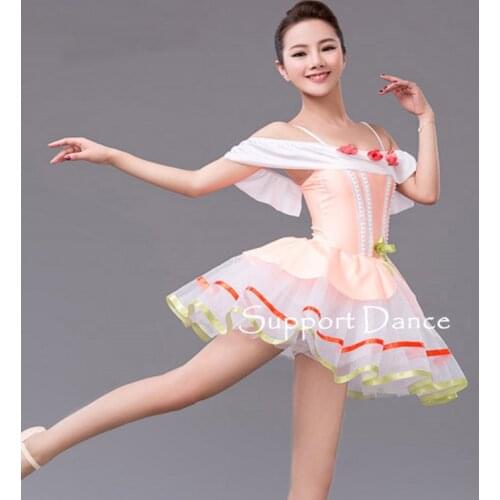 Girls Romantic Flower Ballet Tutu Dress Women Performance Costume Support Dance C14