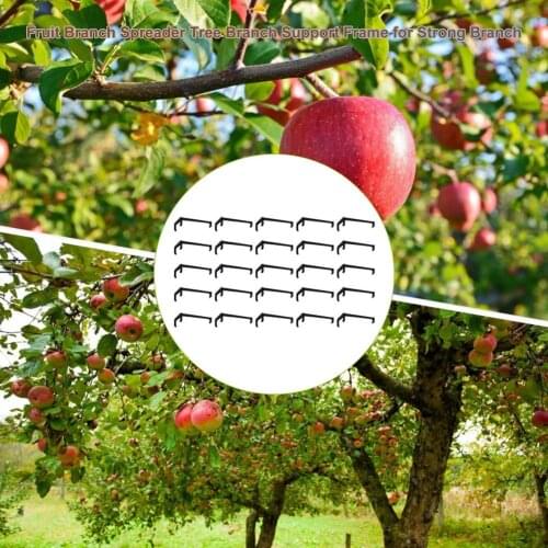 30/50 Pcs Fruit Tree Branches Holder Fruit Branch Spreader Tree Branch Support Frame For Strong Branch For Tree Branches Fixe