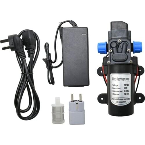 DC 12Volt 60W high pressure water pump Diaphragm pump for car wash water gun Garden irrigation