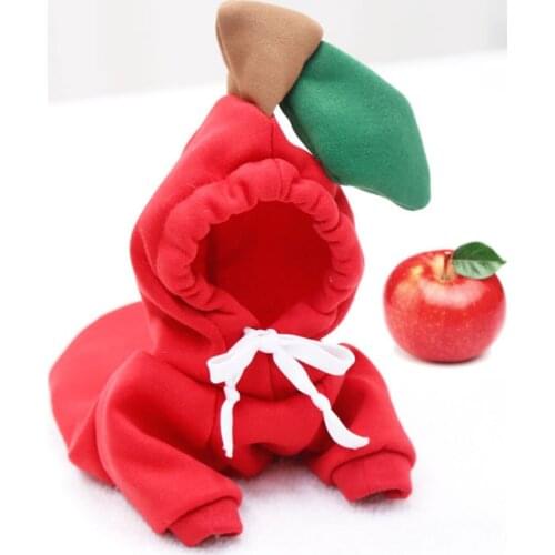 Winter Warm Dog Clothe For Small Ropa Para Perro Sudaderas Con Capucha Kawaii Chihuahua Yorka Jacket Bluza Dla Psa Puppy Costume