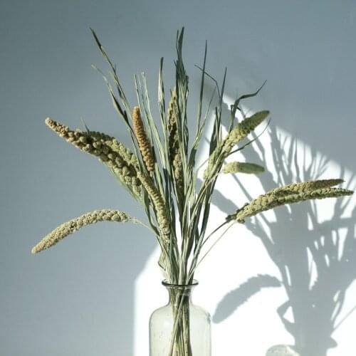 15pcs Millet flower christmas decor real pampas grass natural dried plant ornaments wedding decor flower bunch