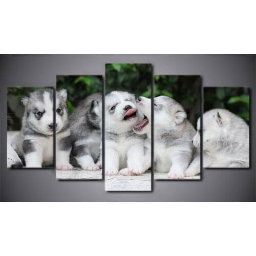 5d diy Diamond embroidery Baby Husky dog 5pcs diamond painting Cross Stitch full square Rhinestone mosaic kits home decoration