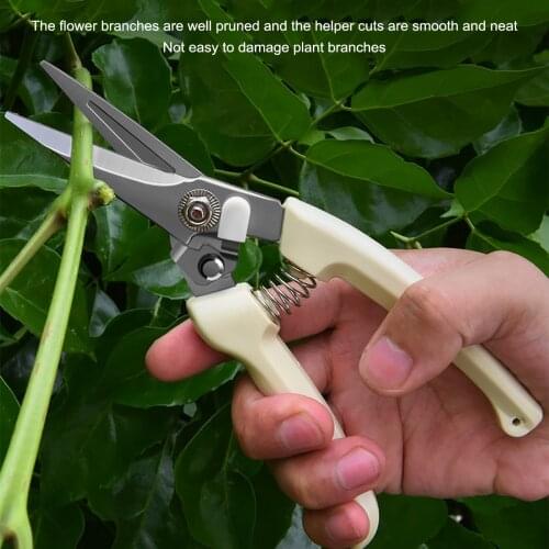 BOSEAN Secateurs