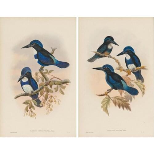 Retro animal blue birds tree scenery set oil painting canvas prints printed on canvas home wall art decoration picture