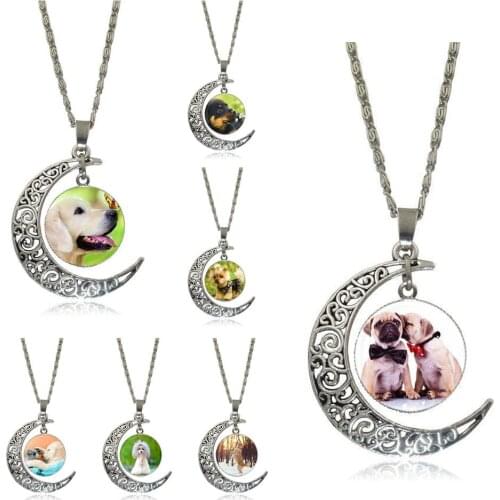 EJ Glaze For Girls Cute Pet Dogs Labrador Bulldog Poodle Vintage Jewelry Silver Plated With Crescent Shaped Luminous Necklace