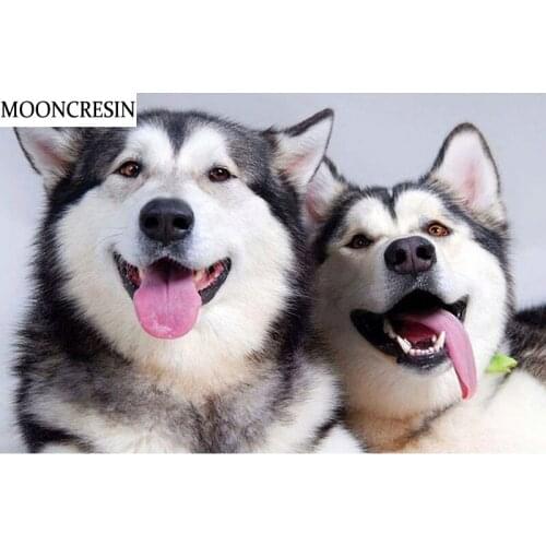 New 5D Diamond Painting Full Square Animals Husky Dog Embroidery Diamond Mosaic Crafts of Rhinestones Needlework Decoration Home