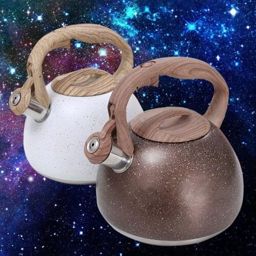 ZJMZYM Stainless Steel Kitchen Kettles China
