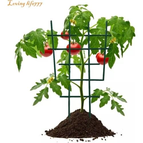 Garden Plant Climbing Vine Rack DIY Plastic Agriculture Plant Stand Rack Climbing Flower Fixed Plant Growth Support Ring Tomate