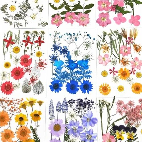 1 Set Real Dried Flower Dry Plants For Candle Epoxy Resin Pendant Necklace Jewelry Making Craft DIY Accessories Scrapbooking