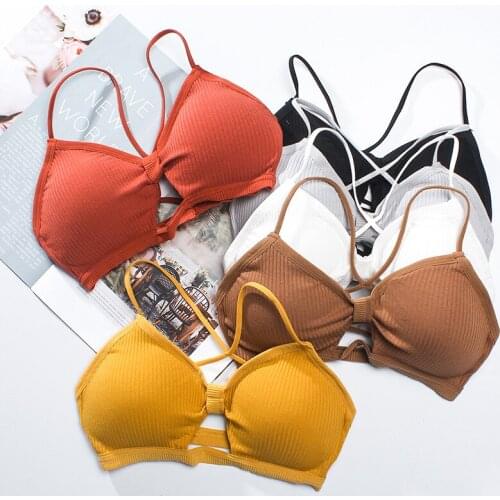 Sexy Bras For Women Push Up Bra Wirefree Bra Beauty Back Bra Cotton Underwear Padding Bralette Brassiere Ladies Sexy Lingerie