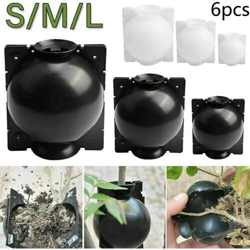6PCS Botany Plant Rooting Root Device Pressure Propagation Ball Box Grafting Breeding Case For Garden Graft Box Sapling