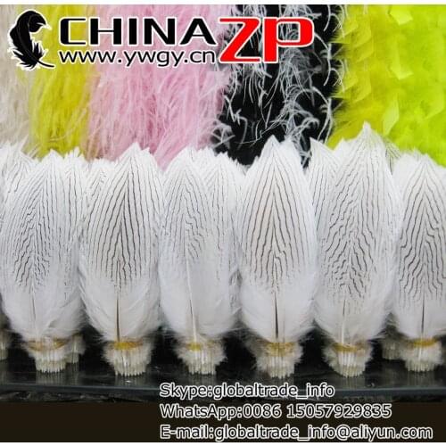 CHINAZP Factory Wholesale Price for 200pcs/lot 10~12inch Length Bleached White Silver Pheasant Feathers