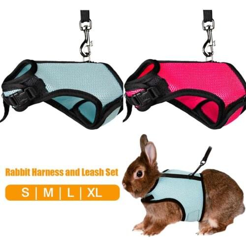 Rabbit Harness and Leash Set Small Animal Soft Vest Harness and Leash Set for Bunny Rabbit Kitten Small Animal Walking #CW