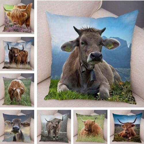 Scotland Kyloe Pillow Case Decor Wild Cow Colorful Animal Print Pillowcase Soft Short Plush Cushion Cover for Home Sofa 45x45cm