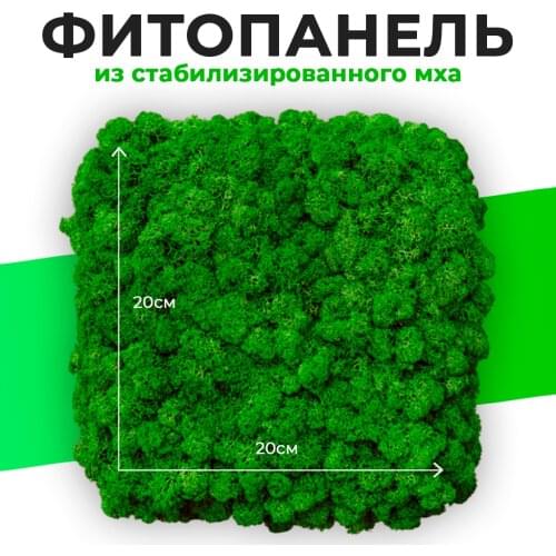 Stabilized moss 