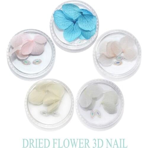 WUF 3Pcs flowers&2Pcs drills/Box Colorful Dry Flower 3D Nail Decoration Preserved Flower Nails Nail Art Decoration