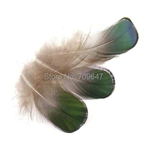 1000Pcs/Lot!5-7cm Green Bronze Lady Amherst Plumage Feathers,Natural Plumes for Earring|Millinery Jewelry Crafts Supplies